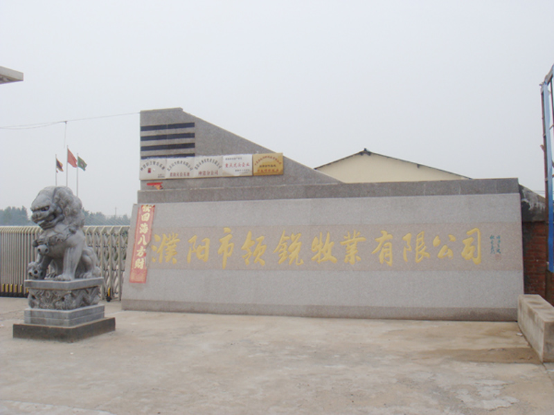 2011.07-河南項目.jpg