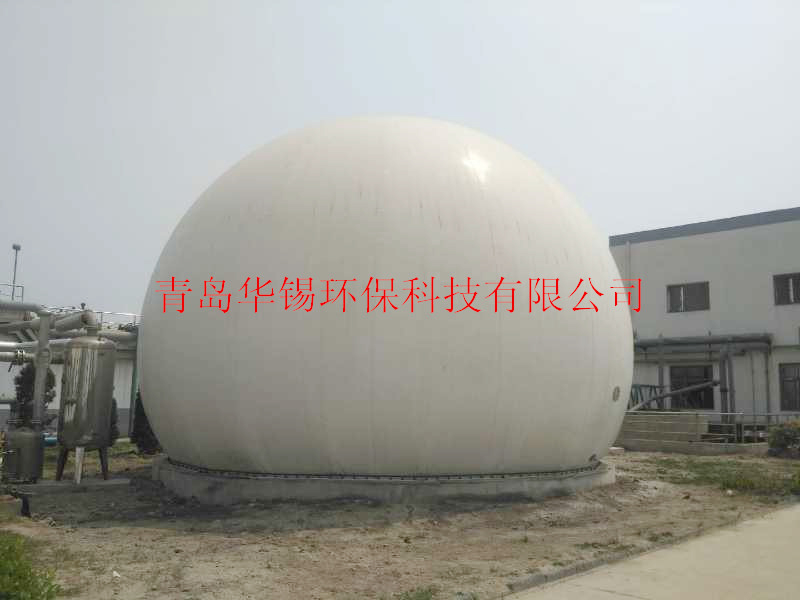 2018.04-天津-雙膜柔性氣柜.jpg
